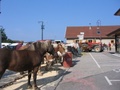 2007_villaz_foire_11.jpg