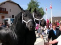 2007_villaz_foire_6.jpg