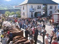 foire_2008_villaz_4.jpg