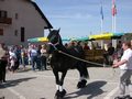 foire_2008_villaz_8.jpg